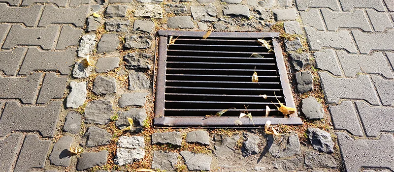 Catch Basin Installation and Maintenance in Islington, Toronto